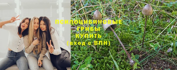 метадон Алексеевка