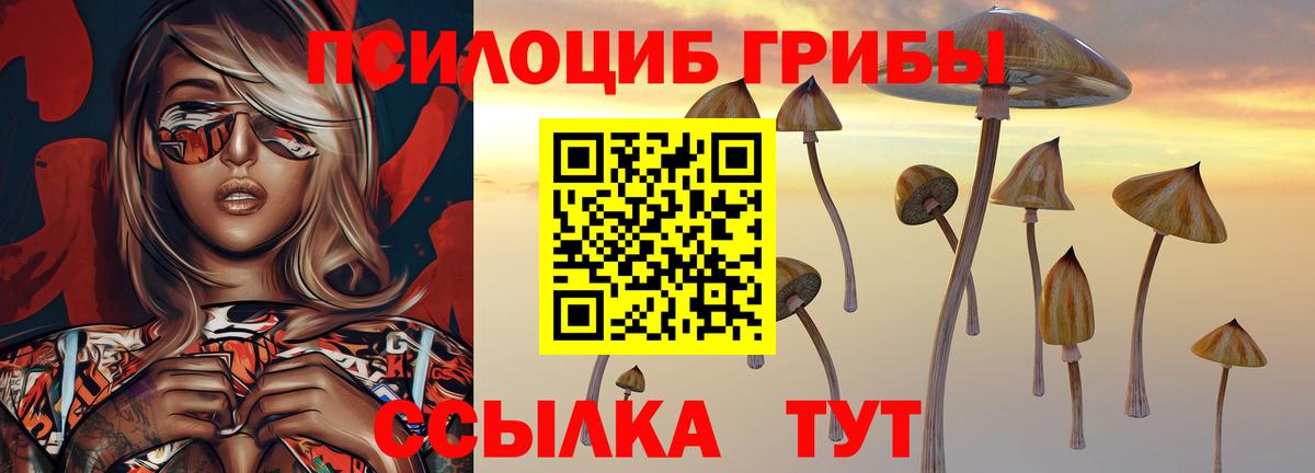 Сатка  Псилоцибиновые грибы GOLDEN TEACHER  Псилоцибиновые грибы мухоморы  Вход с VPN 